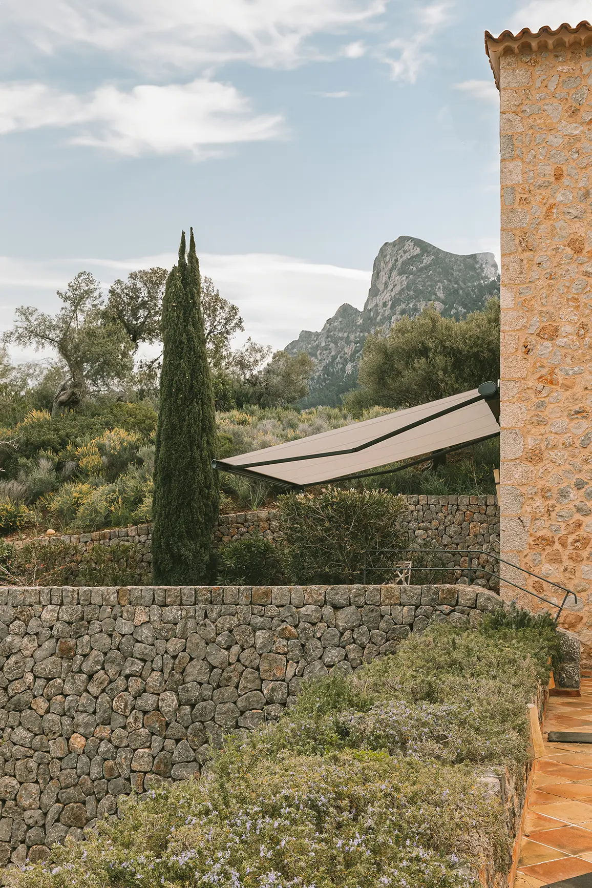 Estructura y tejido en perfecta armonía